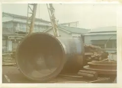 1972N4 _Ng